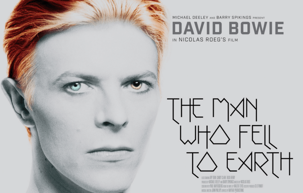 O homem que caiu na terra